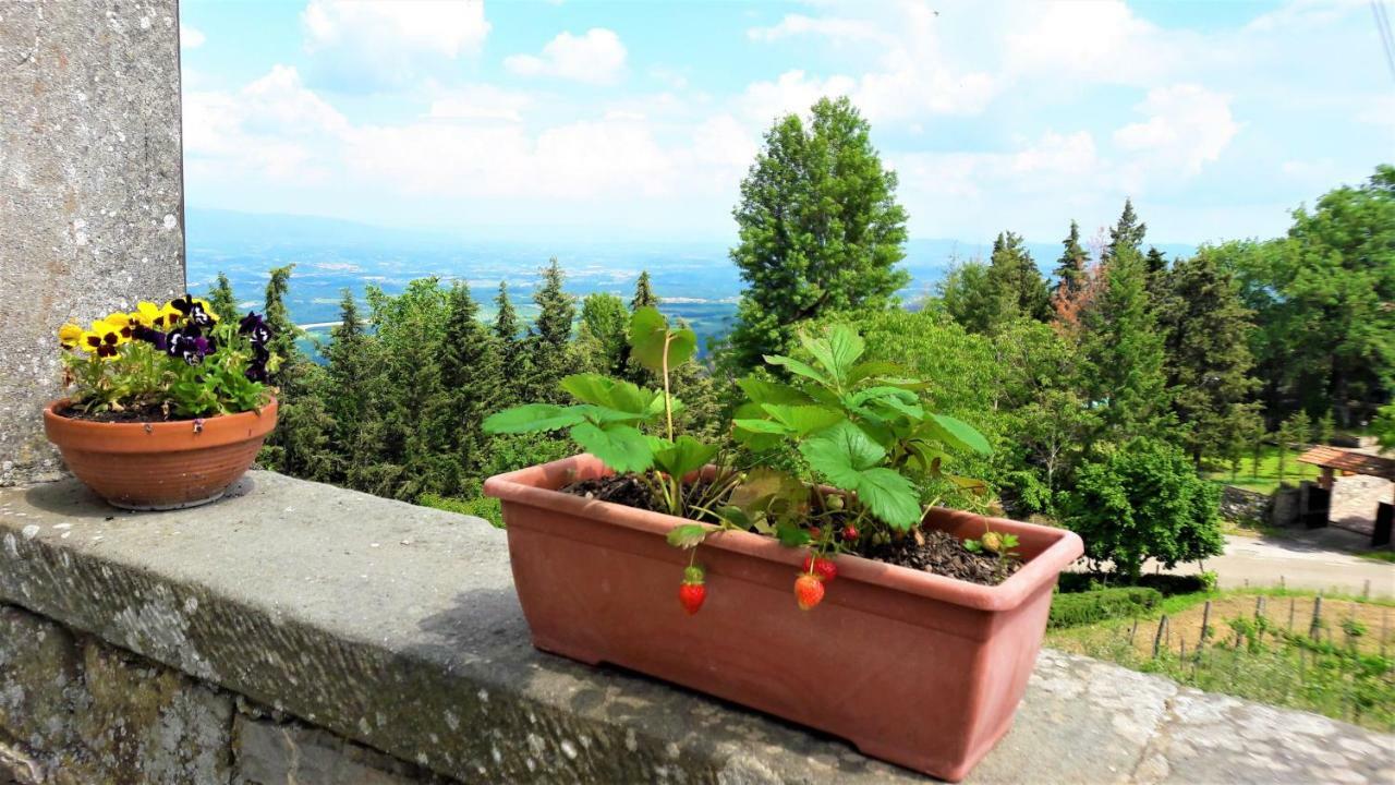 Appartamento A Due Passi Dal Chianti Cavriglia Esterno foto